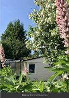 Sommerhäuschen - Bed and Breakfast Rheinsberg