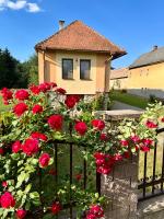 B&B Liptovské Sliače - AEDA chalupa - Bed and Breakfast Liptovské Sliače