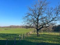 SCI BSA Magnifique maison au calme - B&B Les Essards-Taignevaux