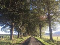 Meshlynn Farm House - B&B Thendele