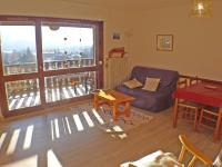 T2 cosy, proche centre Samoëns, animaux admis, parking - FR-1-629-67 - B&B