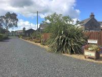 Caravan - Sleeps 4 - Pet friendly - Parking - Bed and Breakfast Newton Stewart