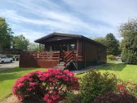 Bluebell Lodge 5 with Hot Tub - B&B Newton Stewart