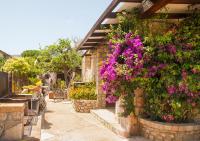 Eucharis Appartamenti - B&B Marina di Campo