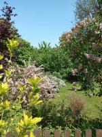 L'escale Arquaise, la maison au jardin fleuri à 5 min de dieppe 7 jours minimum - B&B Arques-la-Bataille