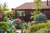 מרגנית בגליל - בקתות כפריות מקסימות עם ג'קוזי פרטי מול נוף משגע ובריכה גדולה במתחם - Wooden cabins with a private jacuzzi in front of a Galilean view and a big swimming pool in the complex - B&B Tsuri’el