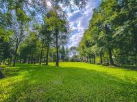 The Pines - B&B Xinshe