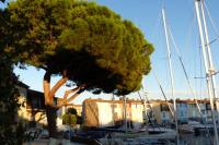 Charming apartment overlooking the lake city - Ferienwohnung Grimaud