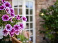 Südwind´s Hummerkoje - Ferienwohnung Westerland