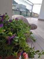 Attico Gloria & Greta - Ferienwohnung Castellammare del Golfo