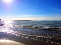 Studio cabine climatisé, proche plage, parfait pour 4 pers. - FR-1-307-123 - Chambres d’hôtes Le Grau-du-Roi