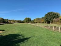 Little Buttercup Cottage - B&B Brackley