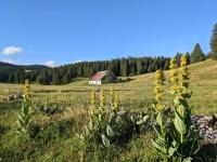 Ferme d'alpage La Bâtie Dessous - Ferienwohnung Mouthe
