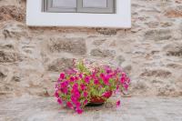 Casa da Morena by Amazing Madeira - B&B Santa Cruz