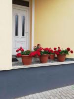 Holiday home Balatonbereny - Balaton 18030 - B&B Balatonberény