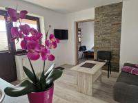 Apartamenty u Krystyny - Ferienwohnung Klikuszowa