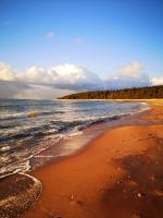 Metsaräägu Wellness - B&B Ülendi