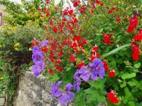 Countryside 3 Bed Detached Cottage - B&B