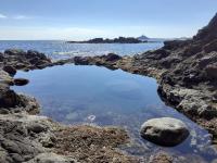 Ginestre38 - B&B Pula