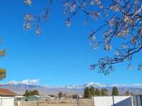 Sun Angel House #2 Pahrump - B&B