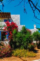 Santa Maria Traditional Stone Studio - B&B Agía Marína