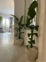 Home Away From Home Marbella - B&B Marbella