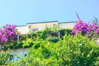 Madra Rooms and Apartments - B&B Budua