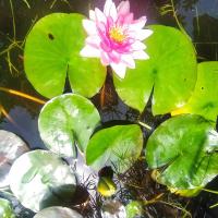 A de Bego - B&B Mougás