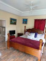 B&B Kingston - Alluring 1 Bedroom Penthouse Suite/ Priv. Terrace - Bed and Breakfast Kingston