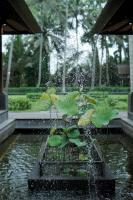 Villa Puri Tupai - B&B
