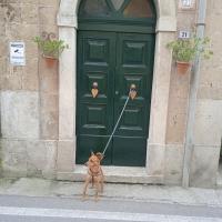 Casa di Paola a Tufo - B&B Santa Paolina