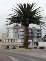 Atlantic Dunes Unit 10, Self Catering - Ferienwohnung