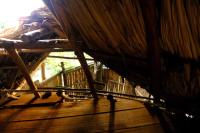 Auroa Palomino - Bed and Breakfast Palomino