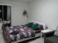 2 комнаты в центре Солнечная галлерея,Мэтро,Сильпо,КБ75 Тысячка - B&B