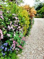 Ivy House Barn, Heckington - B&B