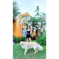 Lotus Beach House - Ferienwohnung Phan Thiết