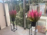 Stegna Apart - Chambres d’hôtes Stegna