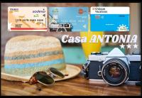 Casa Antonia - B&B Costineşti