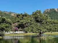 Eden Wilds 72 - B&B Port Edward