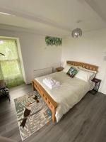 B&B New Quay - Woodlands Bellevue Bed & Breakfast - Bed and Breakfast New Quay