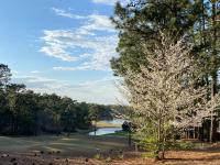 Golf Front SFH, 3 BR, 2 BA, 4 beds, sleep 6 on Pinehurst #6 - B&B Pinehurst