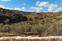 Deluxe Zimmer mit Kingsize-Bett