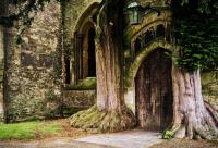 Cotswold Gardens Bed and Breakfast - Ferienwohnung Stow on the Wold