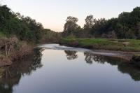A quiet unit overlooking a reserve - B&B Petrie