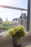Old Town Apartments with balcony Gdańsk Tartaczna - Chambres d’hôtes Gdańsk