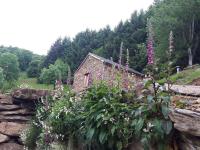 Petite bergerie en pierres tout confort - B&B Salles-Curan