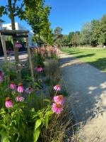 Playa Baltis Club di Mare 5 - Bed and Breakfast Międzyzdroje