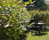 Cà Maurizio garden Venezia - B&B Marghera
