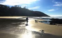 2 Degrees of Separation - Family Beach Retreat - Chambres d’hôtes Wye River