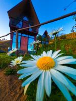 Hie Moksha Glamping - B&B Kodaikānāl